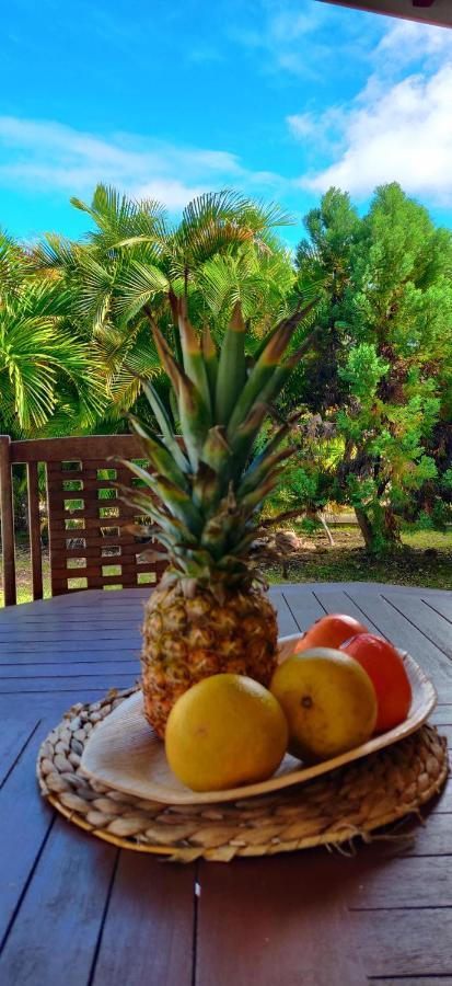 Domaine De Berard Villa Sainte-Anne  Dış mekan fotoğraf